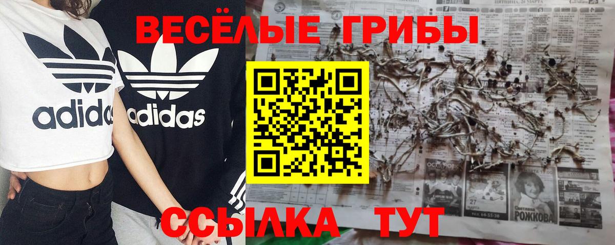 Псилоцибиновые грибы ЛСД Уссурийск