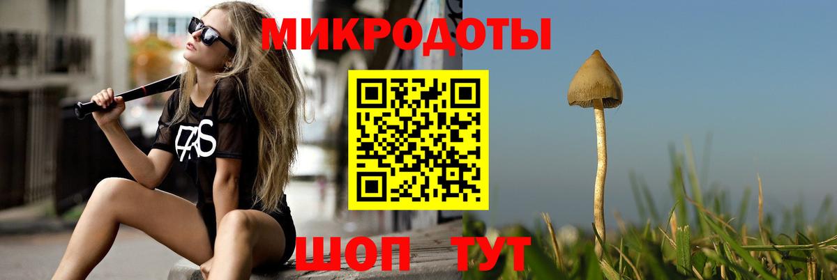 Галлюциногенные грибы MAGIC MUSHROOMS  Вход с VPN  Уссурийск  Псилоцибиновые грибы прущие грибы 